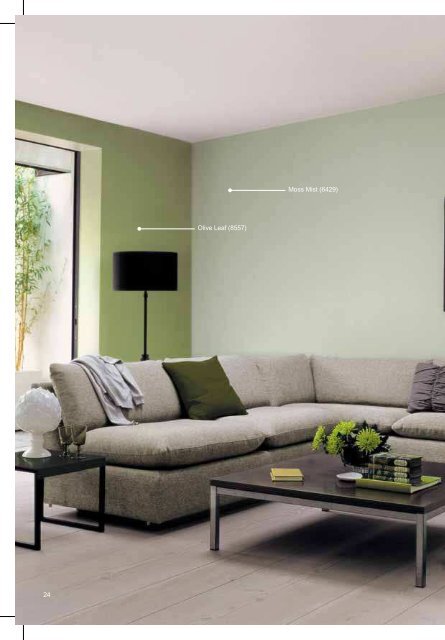THE COLOUR GUIDE - Dulux India