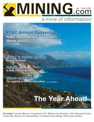 The Year Ahead - MINING.com Magazine