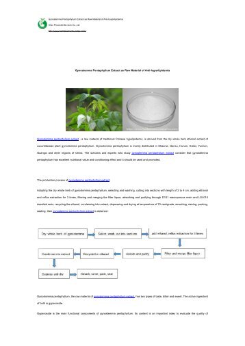 Gynostemma Pentaphyllum Extract as Raw Material of Anti-hyperlipidemia