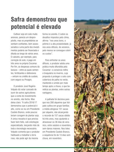 Revista Boas Práticas Cocamar Web