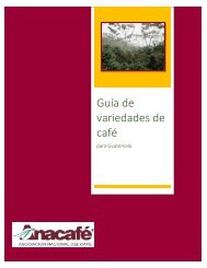 GUÍA DE VARIEDADES DE CAFÉ