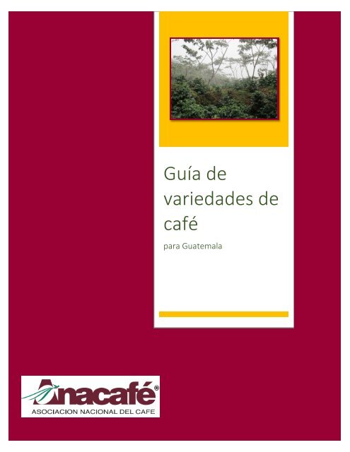 GUÍA DE VARIEDADES DE CAFÉ