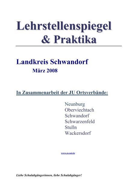 Lehrstellenspiegel & Praktika Landkreis Schwandorf März 2008 In ...