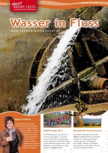 Wasser in Fluss - Lebensraum Wasser