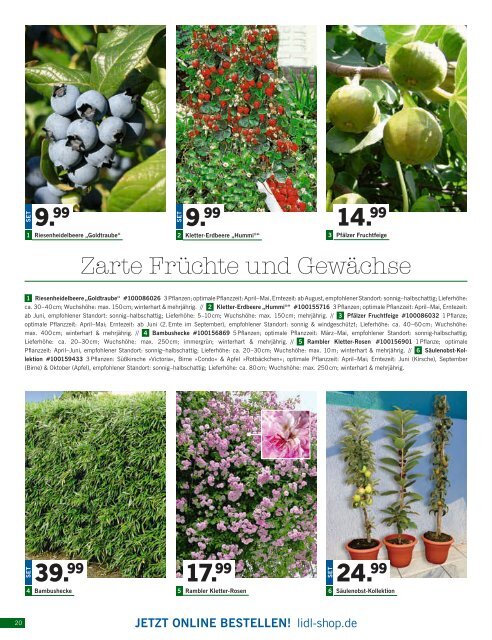 Bestellmagazin_20170501_20170531_7gBeB9