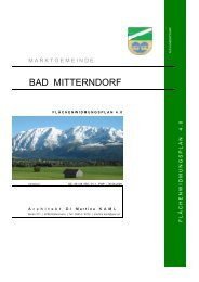 4 . 0 fl ä chenwidmungsplan - Bad Mitterndorf