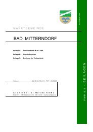 BAD MITTERNDORF