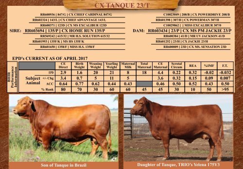 TRIO MBJ 2017 Brangus Sire Directory