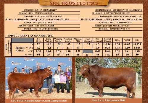 TRIO MBJ 2017 Brangus Sire Directory