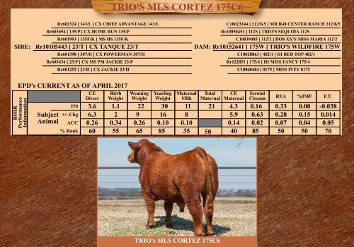 TRIO MBJ 2017 Brangus Sire Directory