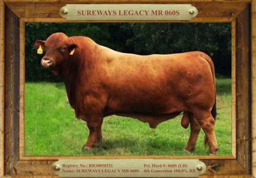 TRIO MBJ 2017 Brangus Sire Directory