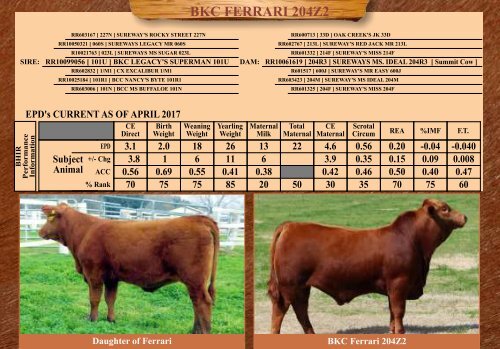 TRIO MBJ 2017 Brangus Sire Directory