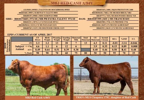 TRIO MBJ 2017 Brangus Sire Directory