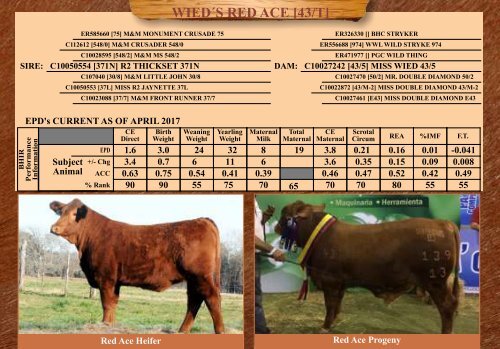 TRIO MBJ 2017 Brangus Sire Directory