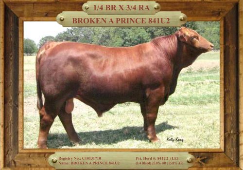 TRIO MBJ 2017 Brangus Sire Directory