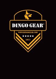 dingo_katalog_2017___09___72dpi