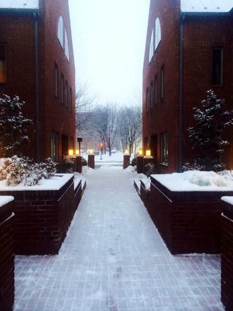 Courtyard in winter at Alonzo M. Bell, DDS office in Alexandria VA