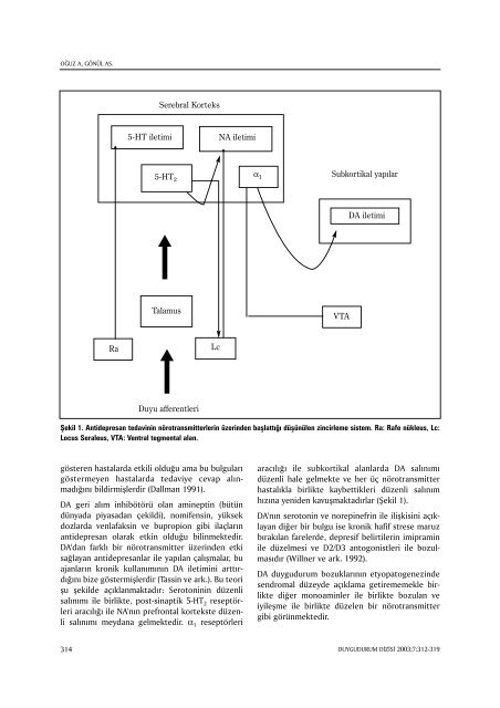 Duygudurum Bozuklukları Etiyolojisinde Diğer Nörotransmitter ...