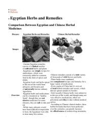 Egyptian Herbs and Remedies