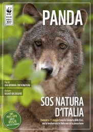 Panda: salviamo la natura d'Italia