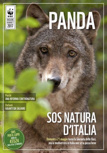 Panda: salviamo la natura d'Italia