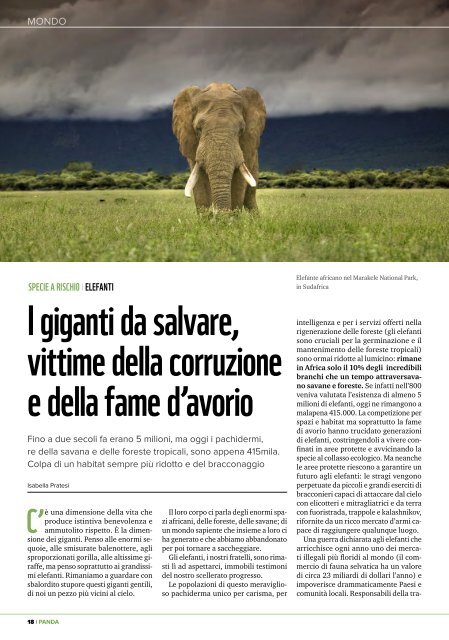 Panda: salviamo la natura d'Italia