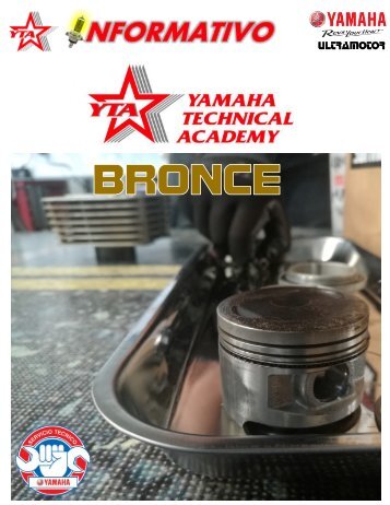 INFORME YTA BRONCE