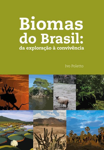 BIOMAS DO BRASIL