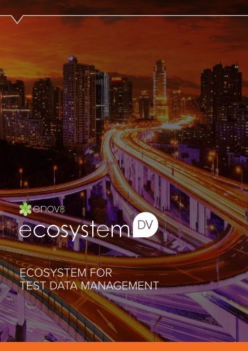 enov8-ecoSystem-dataview-Test-Data-Management-Brochure