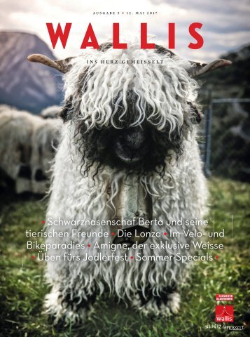WALLIS Magazine- Sommer2017