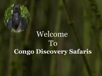 Gorilla Trekking Safaris in Congo