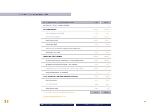 Informe Anual 2016 es