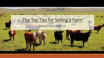 The Top Tips for Selling a Farm