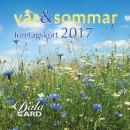 DalaCard Sommarkort 2017