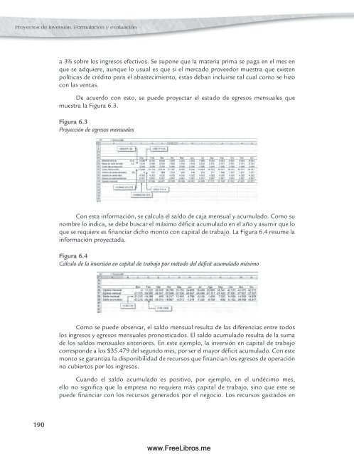 Proyectos de Inversión, 2da Edicion - Nassir Sapag Chaín