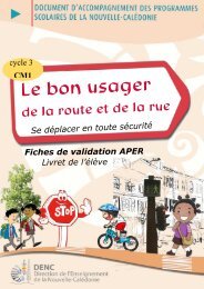 Fiches de validation de l'APER, livret de l'élève CM1