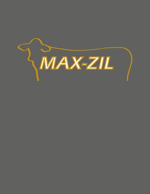 Max-Zil (1)