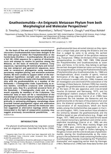 Gnathostomulida—An Enigmatic Metazoan Phylum from both ...