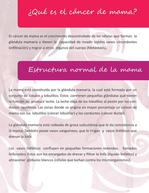 Información sobre el Cáncer de Mama