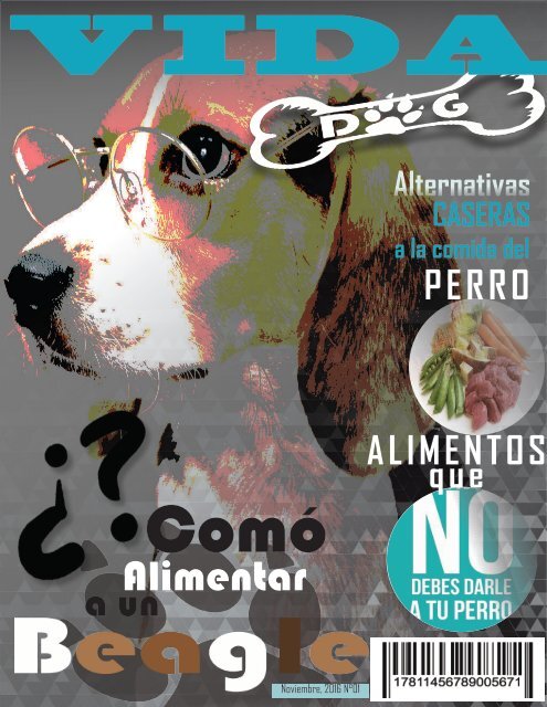 RevistaVIDADOG