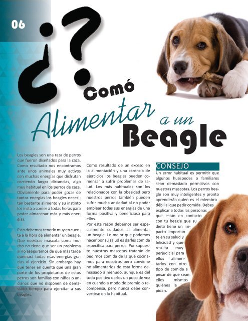 RevistaVIDADOG