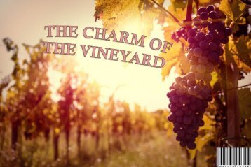 THE CHARM OF THE VINEYARD