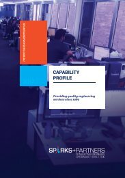 SPARKS+PARTNERS Capability Profile: 2017