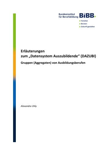 Erläuterungen zu den Gruppen (Aggregaten) von ... - BiBB