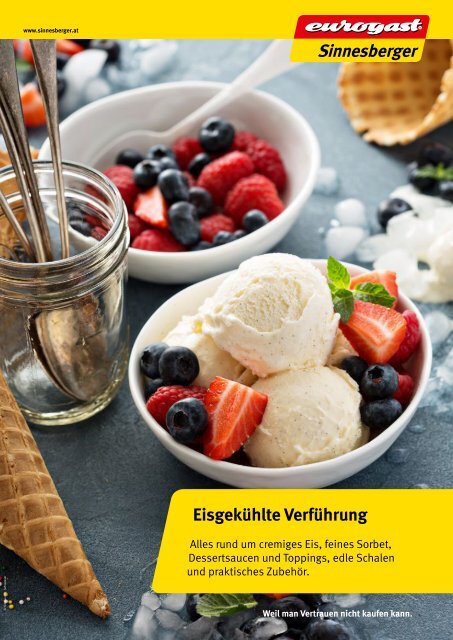 Eisflyer_FJ 2017