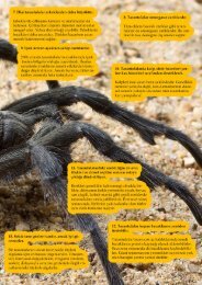 tarantulasağ