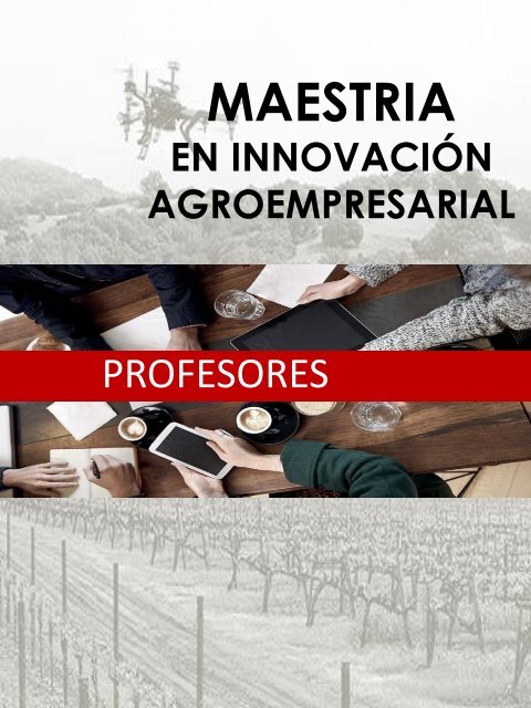 PROFESORES MAESTRIA