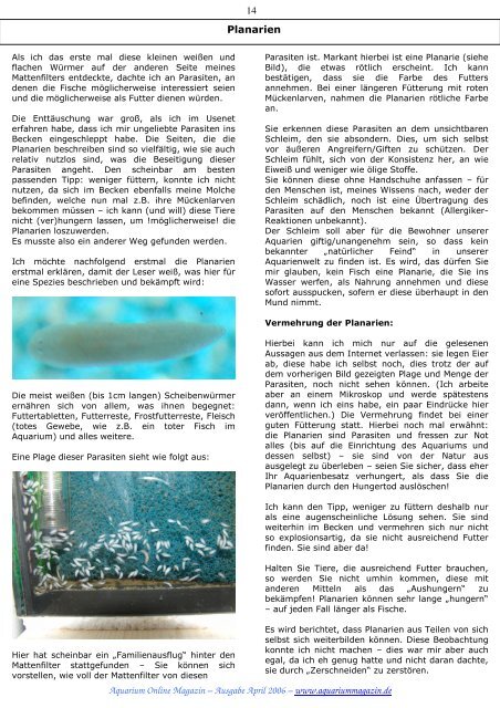 Online Aquarium Online Aquarium-Magazin Magazin kostenlos und