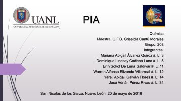 PIA_ Revista 