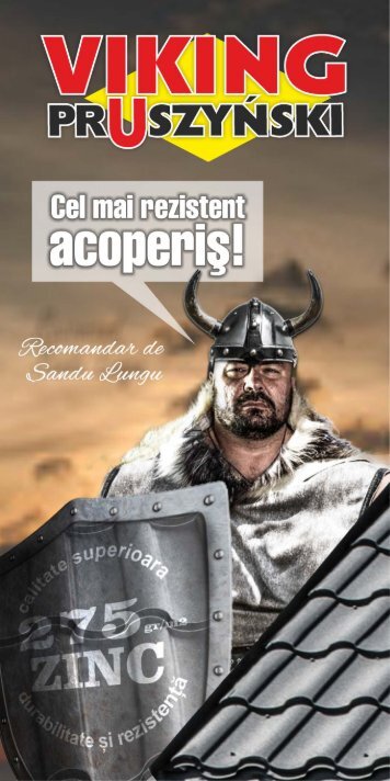 Viking Pruszyński - Tigla Metalica